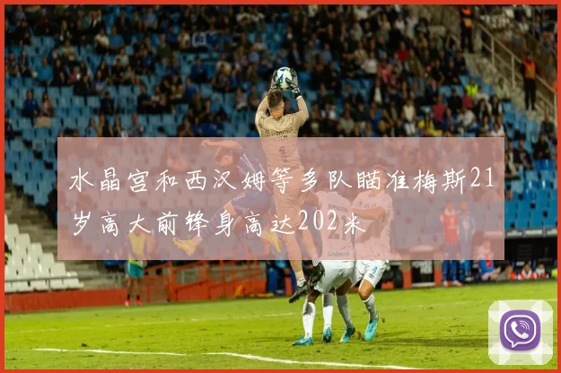 水晶宫和西汉姆等多队瞄准梅斯21岁高大前锋身高达202米
