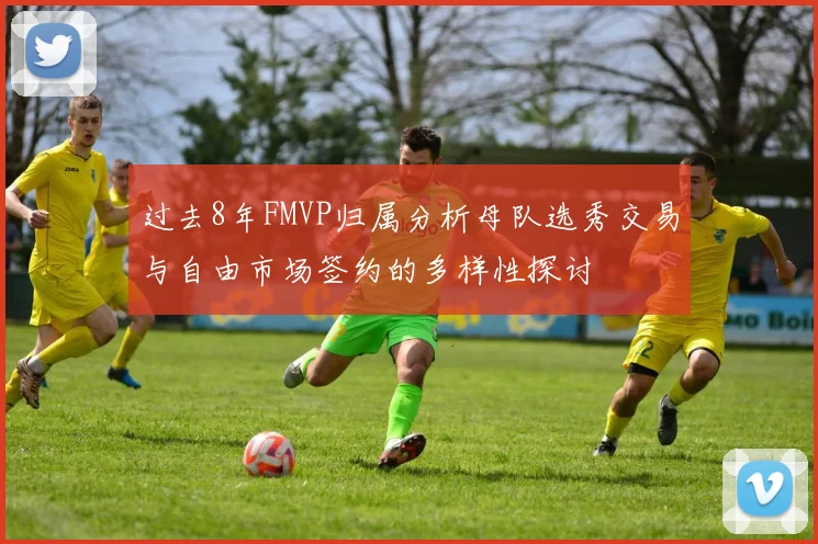 过去8年FMVP归属分析母队选秀交易与自由市场签约的多样性探讨