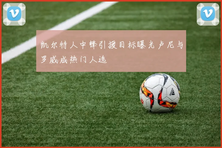 凯尔特人中锋引援目标曝光卢尼与罗威成热门人选
